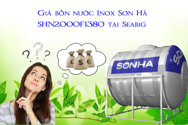 gia-bon-nuoc-inox-son-ha-SHN2000F1380-tai-seabig